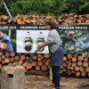 Igor Loskutow  Kunst mit Kettensäge, Schnitzerei, Skulptur: IMG_8940